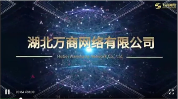 湖北万商网络有限公司宣传片