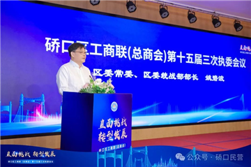 武汉斯艾特受邀参加硚口区工商联（总商会）第十五届三次执委会